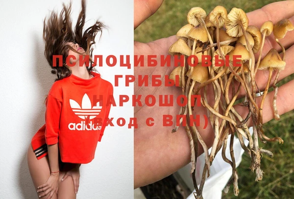 прущая мука Вязьма